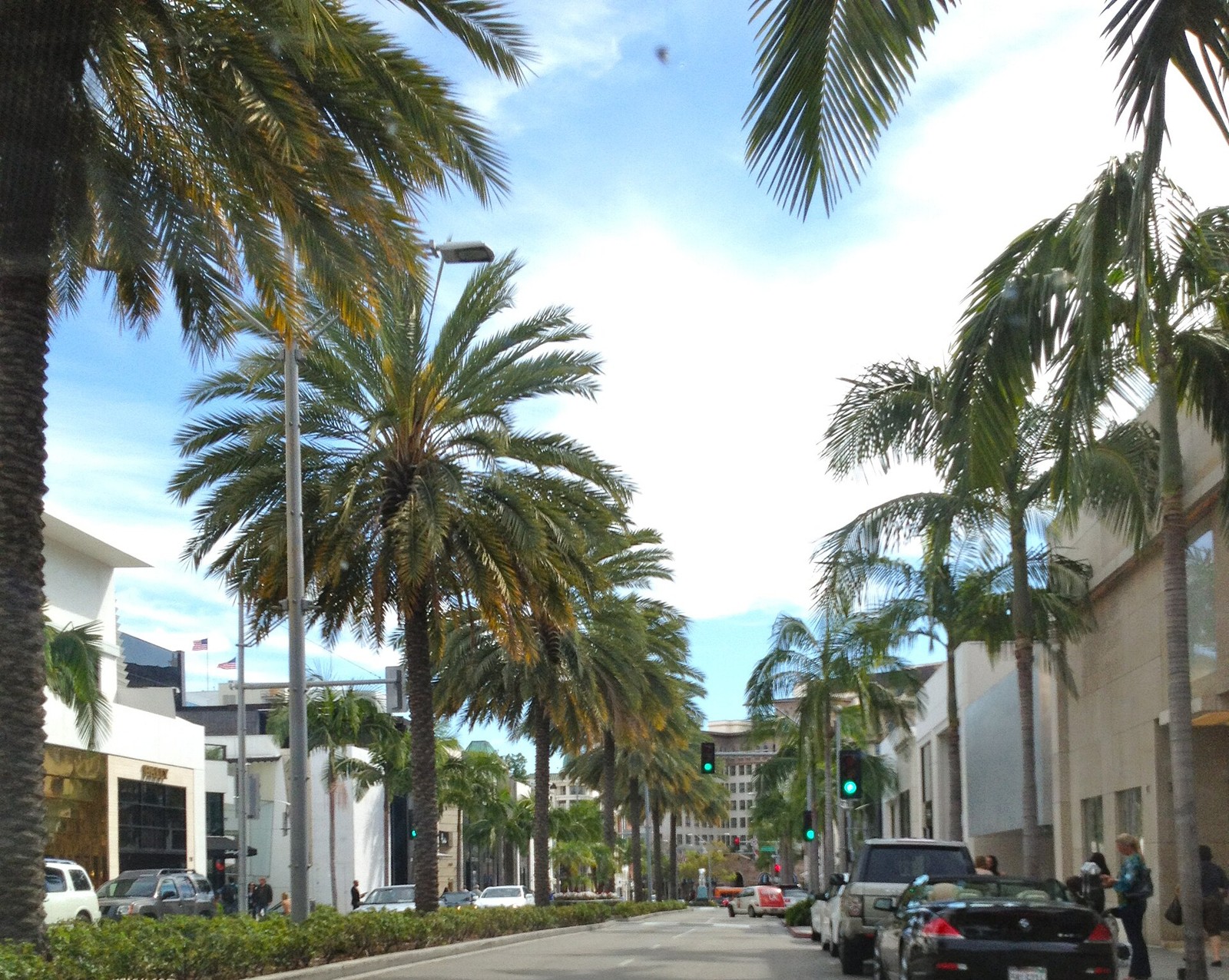 Palm trees lining Rodeo Drive in Beverly Hills on a sunny day